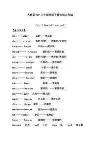 【期末复习】人教版PEP小学英语六年级下册版六英下知识点8页（讲义）