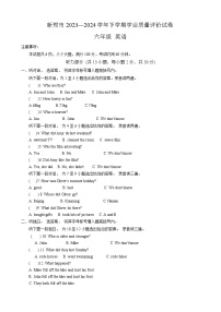 河南省郑州市新郑市2023-2024学年六年级下学期期末英语试题