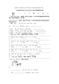 [英语]广东省深圳市龙华区2022-2023学年六年级下学期期末试卷