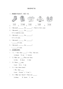期末（试题）2023-2024学年人教PEP版英语四年级下册