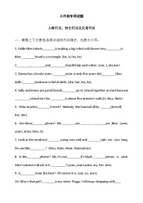 2024学年小升初英语专项 练习 -代词