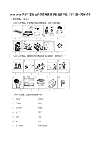 2023-2024学年广东省汕头市澄海区澄华街道四年级（下）期中英语试卷