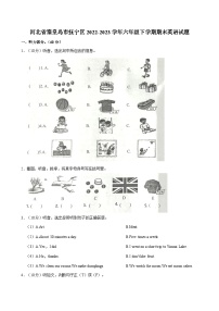 河北省秦皇岛市抚宁区2022-2023学年六年级下学期期末英语试题（含答案）