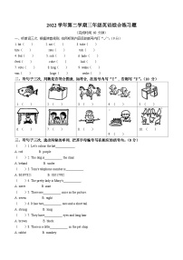 2022-2023学年广东省广州市白云区教科版（广州）三年级下册期末综合练习英语试卷(无答案)