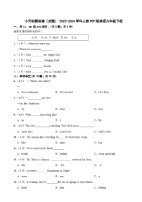 小升初模拟卷（试题）-2023-2024学年人教PEP版英语六年级下册