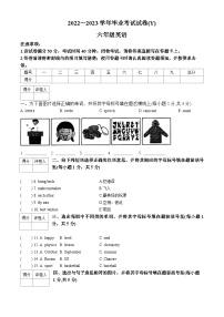 2022-2023学年河南省漯河市舞阳县外研版（三起）六年级下册期末考试英语试卷