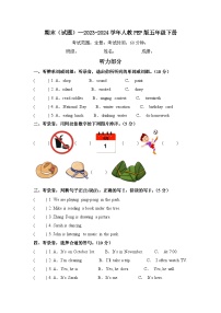 期末（试题）--2023-2024学年人教PEP版英语五年级下册