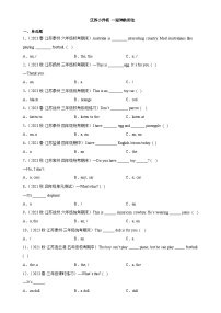 2023年 江苏小升初 语法专项精练--冠词的用法（含答案解析）译林版三起