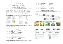 湖南省长沙市雨花区2023-2024学年三年级下学期期末考试英语试题