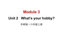 外研版 (三年级起点)六年级上册Unit 2 What’s your hobby?示范课课件ppt