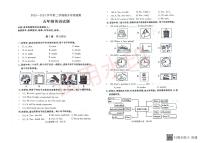 山东省德州市禹城市2023-2024学年五年级下学期期末英语试题