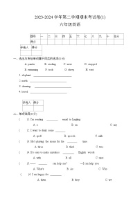 河南省周口市太康县2023-2024学年六年级下学期期末英语试题