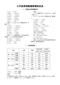 小学英语小升初高频易错知识点（共十大类100个）