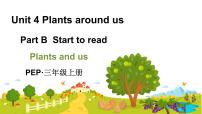 小学英语人教版PEP（2024）三年级上册Unit4 Plants around usPart B课前预习ppt课件