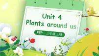 人教版PEP（2024）三年级上册Unit4 Plants around us教课内容ppt课件