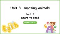 人教版PEP（2024）Unit3 Amazing animalsPart B授课ppt课件