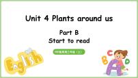 小学英语人教版PEP（2024）三年级上册Unit4 Plants around usPart B备课课件ppt