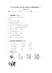 小升初模拟卷试题2023-2024学年人教PEP版英语六年级下册 (含答案) (1)