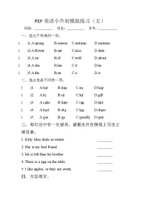 小升初模拟卷试题2023-2024学年人教PEP版英语小升初六年级下册 (含答案)
