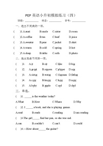 小升初模拟卷试题2023-2024学年人教PEP版英语小升初六年级下册（含答案）