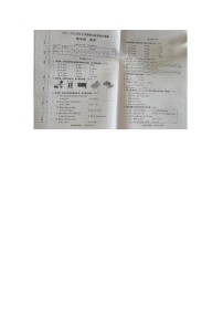 河南省开封市2023-2024学年四年级下学期期末英语试题