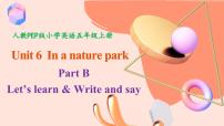小学英语Unit 6 In a nature park Part B精品教学ppt课件
