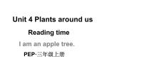 人教版PEP（2024）三年级上册Unit4 Plants around us教学ppt课件