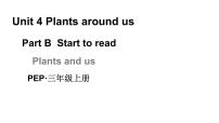 小学英语人教版PEP（2024）三年级上册Unit4 Plants around usPart B教学ppt课件