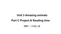 人教版PEP（2024）三年级上册Unit3 Amazing animalsPart C教学课件ppt