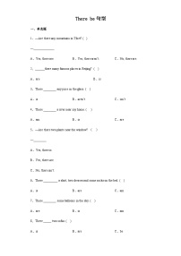 暑假五年级五升六小学英语语法专练 There be句型 人教PEP版（含解析）