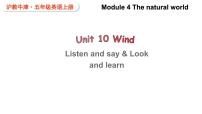 小学英语沪教牛津版(六三制三起)五年级上册Unit 10 Wind示范课课件ppt