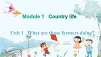 英语Unit 1 What are those farmers doing?备课课件ppt