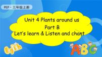 人教版PEP（2024）Unit4 Plants around usPart B习题ppt课件