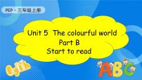 人教版PEP（2024）三年级上册Unit5 The colourful worldPart B习题ppt课件