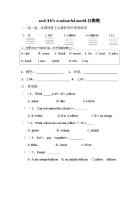 外研版（三起）2024三年级上册Unit 3 lt's a colourful world!练习