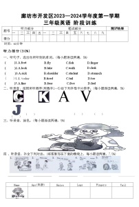 河北省廊坊市开发区2023-2024学年三年级上学期期末英语试题