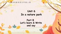 英语五年级上册Unit 6 In a nature park Part B授课课件ppt