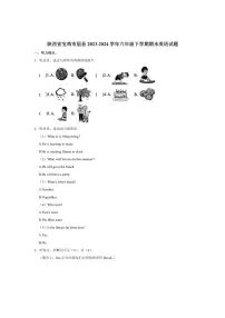 [英语][期末]陕西省宝鸡市眉县2023～2024学年六年级下学期期末英语试题(有答案)