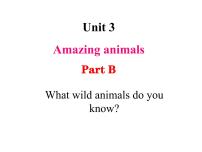 小学人教版PEP（2024）Unit3 Amazing animalsPart B说课课件ppt