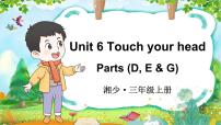 英语三年级上册（2024）Unit 6 Touch your head授课课件ppt