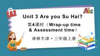 译林版（三起）（2024）三年级上册（2024）Unit 3 Are you Su Hai?图文ppt课件