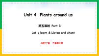 人教版PEP（2024）三年级上册（2024）Unit4 Plants around usPart B图文ppt课件