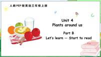 小学人教版PEP（2024）Unit4 Plants around usPart B评课课件ppt