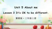 小学冀教版（三起）20243 Story: It’s OK to be different.授课ppt课件