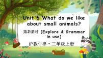 沪教牛津版(六三制一起)(2024)三年级上册（2024）Unit 6 What do we like about small animals?教学ppt课件