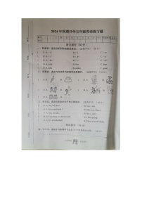 河南省南阳市南召县2024-2025学年五年级上学期开学英语试题