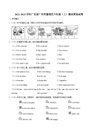 2022-2023学年广东省广州市番禺区六年级（上）期末英语试卷（含答案）