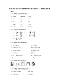 2023-2024学年山东省潍坊市安丘市三年级（上）期中英语试卷