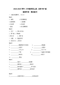 专题03 短语-2024-2025学年 六年级英语上册  期末专项复习练习（人教PEP版）