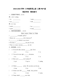 专题05 语法-2024-2025学年 六年级英语上册  期末专项复习练习（人教PEP版）